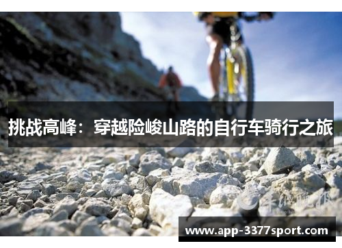 挑战高峰：穿越险峻山路的自行车骑行之旅